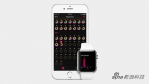 苹果发布智能手表及两款大屏iPhone 6